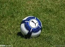 切尔西,阿斯顿维拉,詹姆斯自摆,PG电子官网,PG电子试玩,PG电子模拟器,PG电子平台,PG电子下载