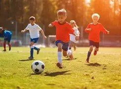 奥本大学力,克密歇根,布鲁姆狂揽,PG电子官网,PG电子试玩,PG电子模拟器,PG电子平台,PG电子下载